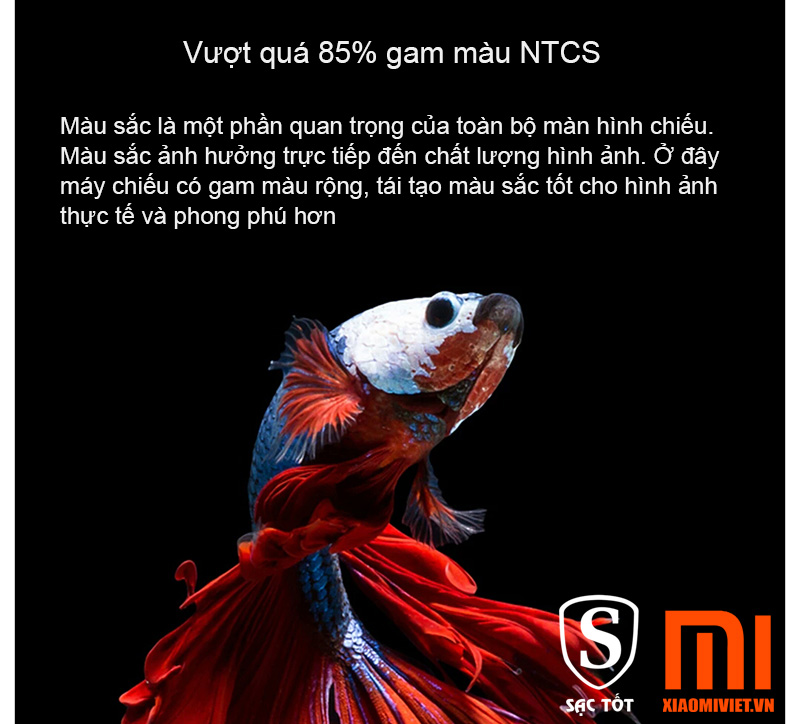 Máy Chiếu Xiaomi Laser Projector 4