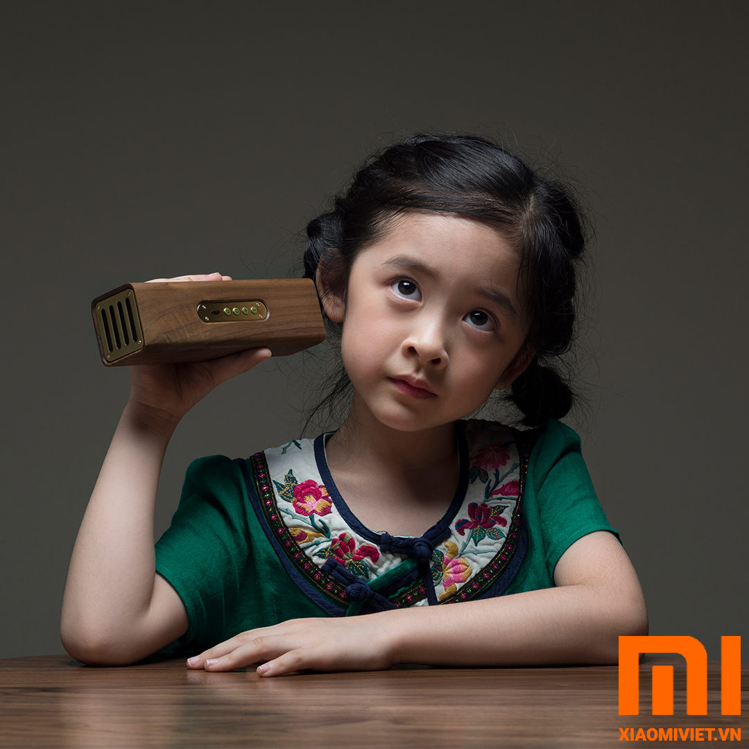 Loa Bluetooth Xiaomi TongShiFu Vỏ Gỗ 09