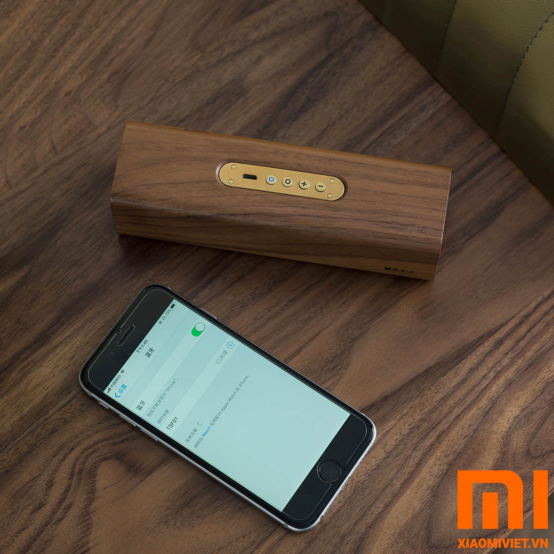 Loa Bluetooth Xiaomi TongShiFu Vỏ Gỗ 11