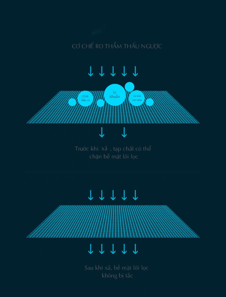 Máy Lọc Nước Xiaomi Water Purifier 2