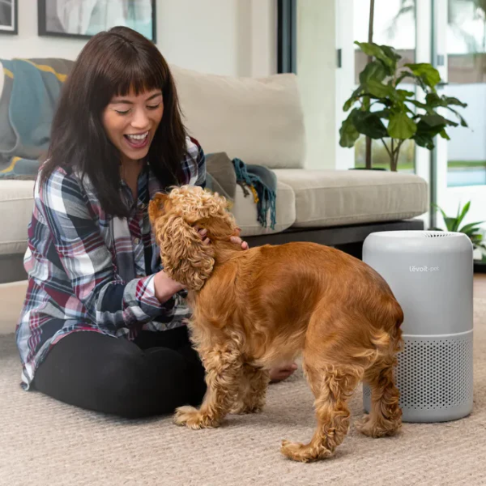 Máy lọc không khí Levoit Core P350 kiêm lọc lông thú cưng, vật nuôi Máy lọc không khí Levoit Core P350 kiêm lọc lông thú cưng, vật nuôi - Ảnh 5