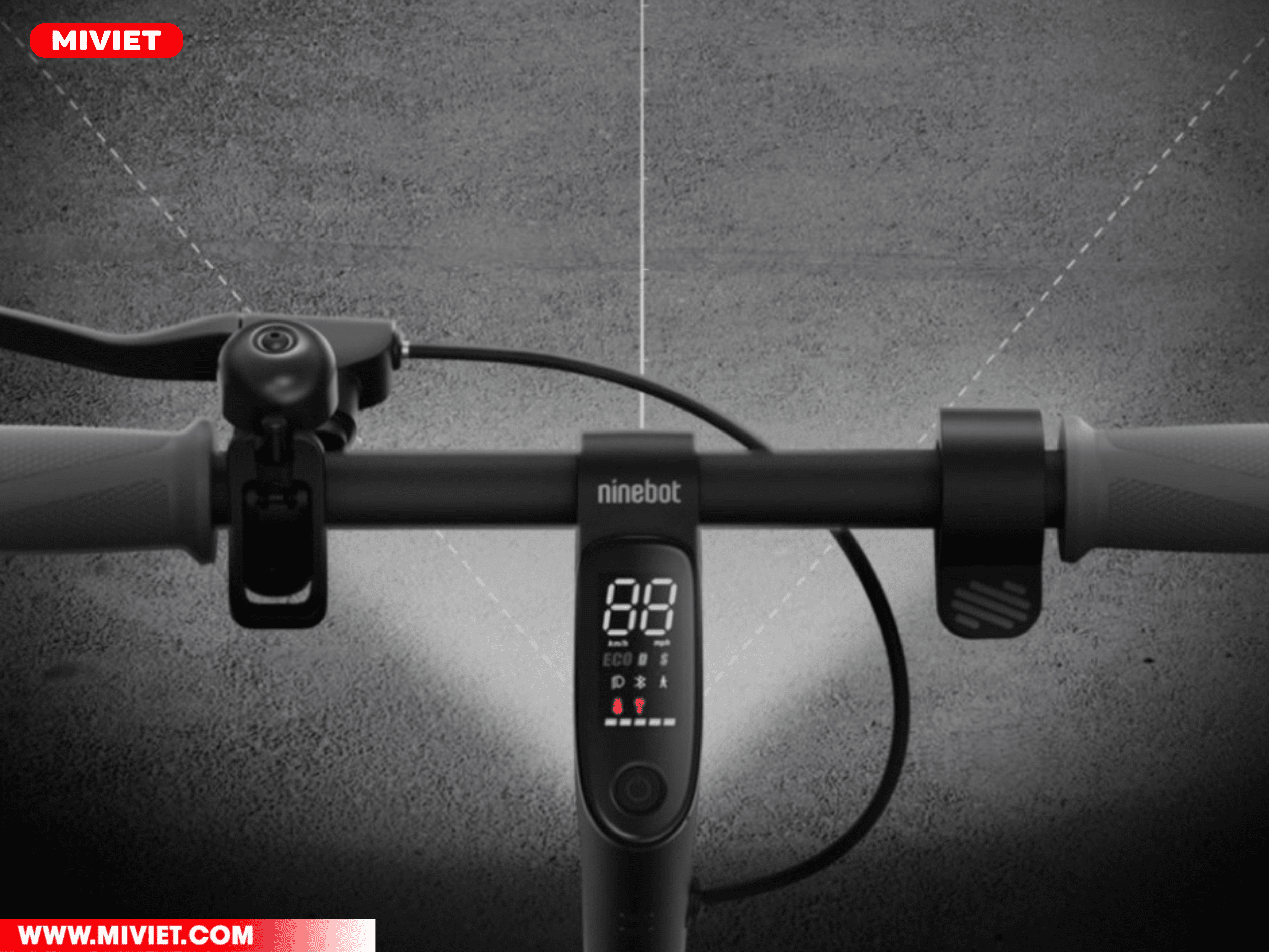 Đèn được trang bị đầy đủ