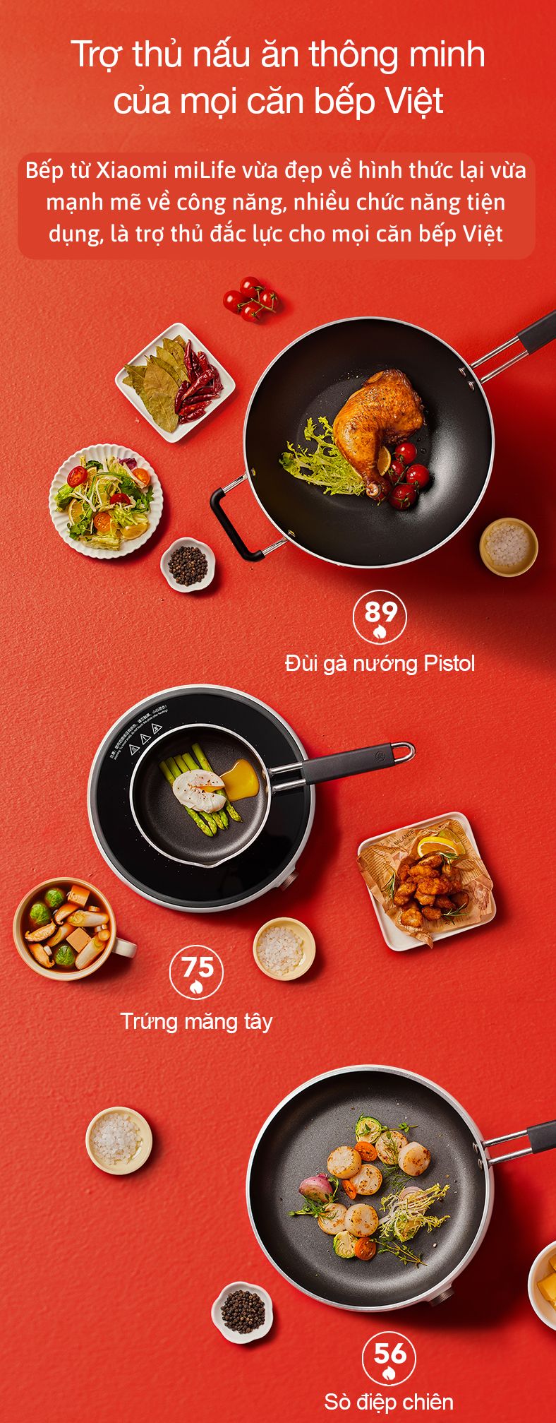 Bếp từ tròn miLife LFT011 với 99 mức nhiệt - Chính hãng Bếp từ tròn miLife LFT011 trợ thủ nấu ăn