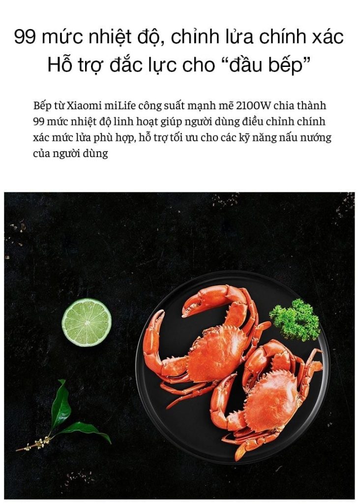 Bếp từ tròn miLife LFT011 với 99 mức nhiệt - Chính hãng Bếp từ tròn miLife LFT011 99 mức nhiệt độ